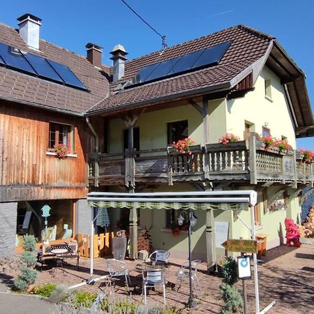 Hotel Les 4 Saisons Kruth Zewnętrze zdjęcie
