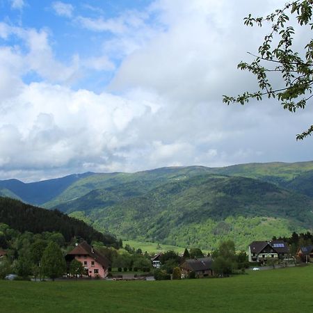 Hotel Les 4 Saisons Kruth Zewnętrze zdjęcie