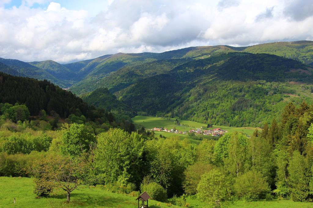 Hotel Les 4 Saisons Kruth Zewnętrze zdjęcie